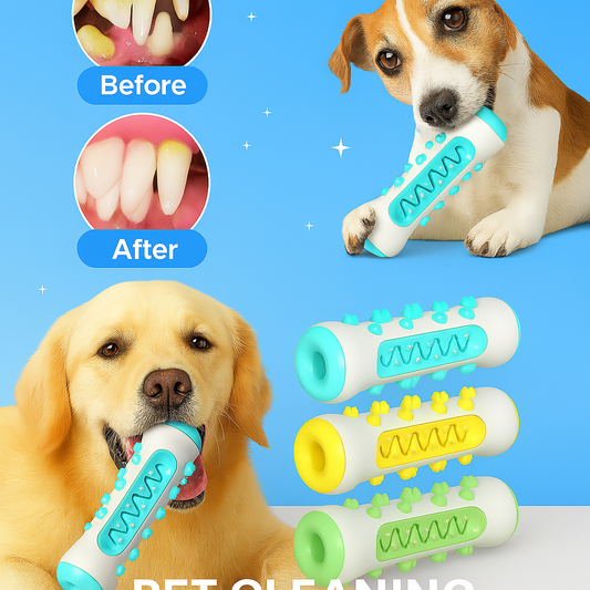 ChewClean Large Dog Toothbrush Toy